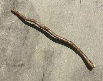 Magic Wand Natural Holly Wood 14” (Ilex opaca)