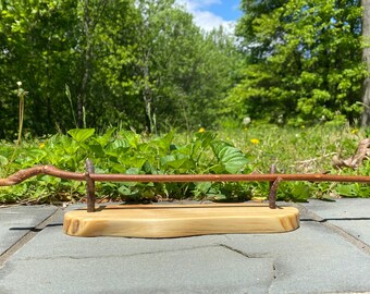 Magic Wand Natural Sassafras 16” (Sassafras albidum)
