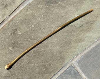 Magic Wand Natural Ash Wood 16.5” (Fraxinus americana)
