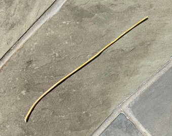 Magic Wand Natural Ash Wood 16.125” (Fraxinus americana)