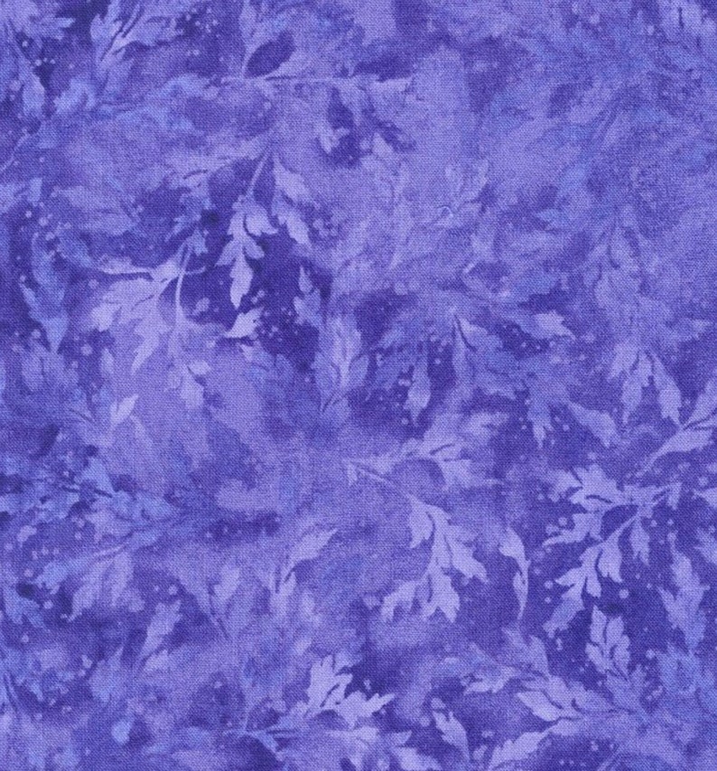 Northcott Essence line in Delphinium