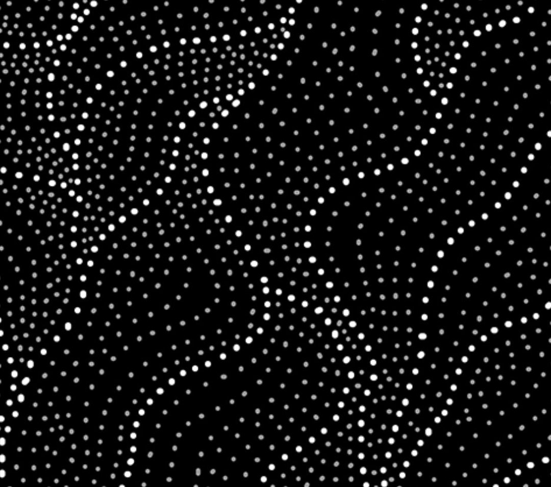 Land of Utopia Black, an Authentic Aboriginal Fabric Etsy