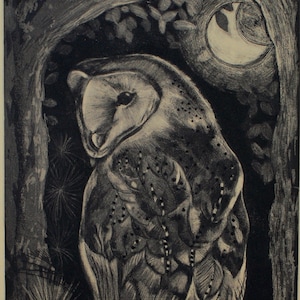 Original etching of  an Barn Owl