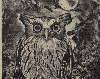 Original etching of  an Eagle Owl