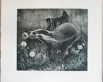 Badger in the Undergrowth