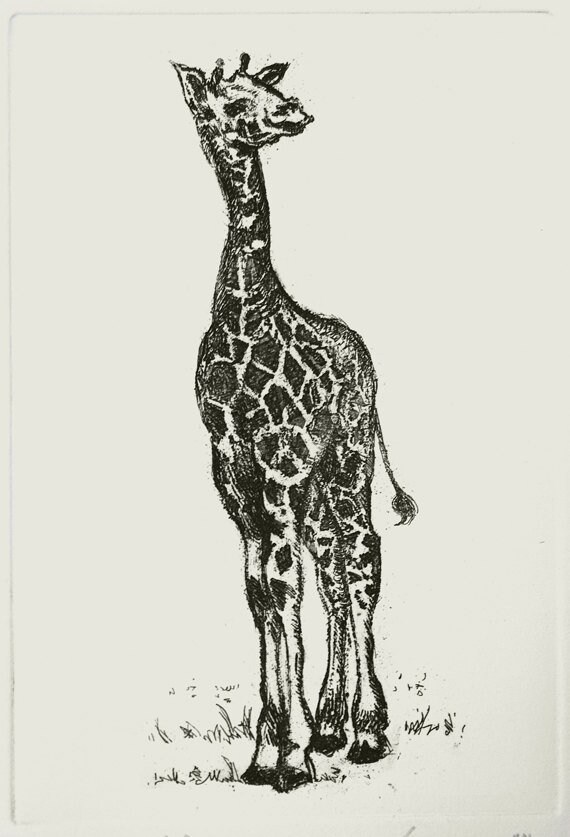 Bebe Girafe Gravure Etsy Bebe Girafe Gravure Etsy