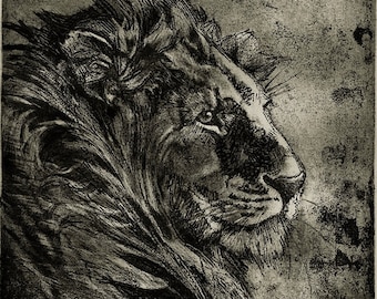 Lion etching