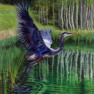 Great Blue Heron Rising - Reproduction of an oil painting