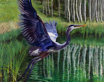 Great Blue Heron Art Print – Giclée Reproduction of Oil Painting