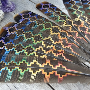 Rainbow feather .:.one painted feather//energy/spiritual feather//smudging//healing//sacred space//altar