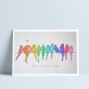 May include: A watercolor painting of a rainbow of parakeets perched on a branch. The birds are all different colors, and they are arranged in a line. The text "Bands of a feather flock together" is written below the birds.