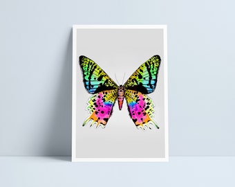 LARGE Rainbow butterfly print by Niki Pilkington