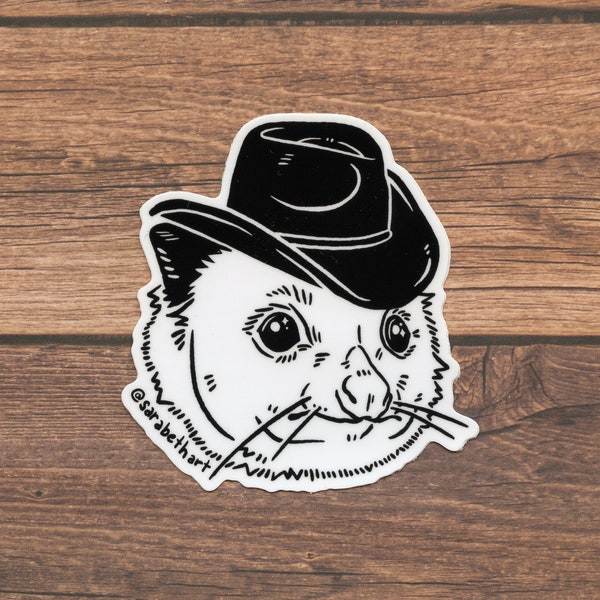 Opossum Cowboy sticker | be rootin be tootin be shootin | cowboy sticker | possum sticker | cowboy gift | cowgirl sticker