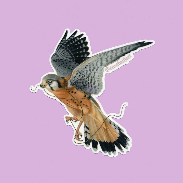 Kestrel sticker | clear sticker | hawk