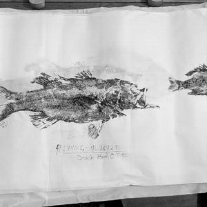 Stampa su carta di riso con inchiostro di Beach Point Rhode Island - Spigola e Bluegill