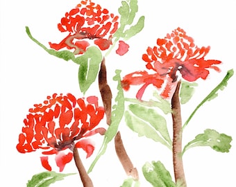 Waratah Flowesr Painting | Original Artwork, Print Watercolour Flowers, Australian Native Flora, Wall Art Decor