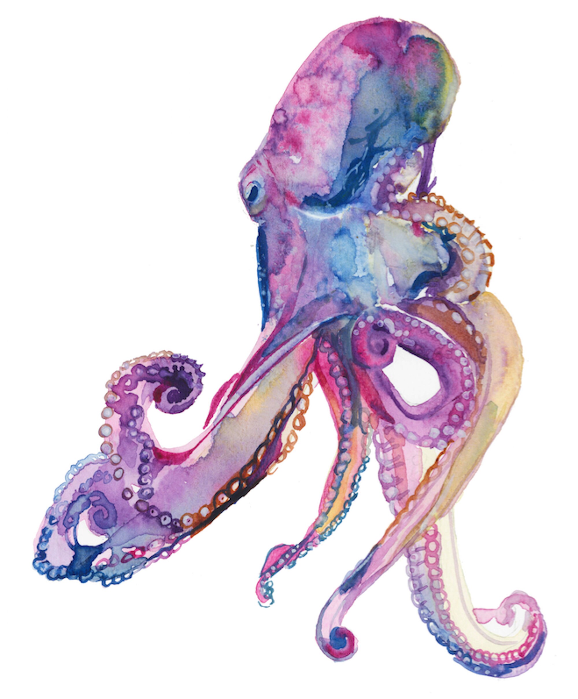 タコの水彩画 | クラーケンの海の生き物、紫、タコのアートワーク
