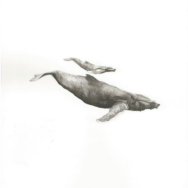 Humpback Whale Print - Etsy