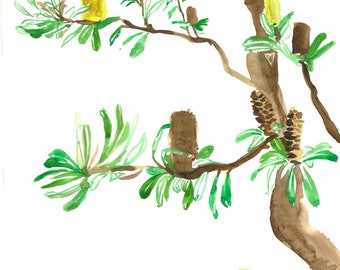 Banksia Coastal Painting / Obra de arte original, Flores de acuarela, Flora nativa australiana, Decoración de arte mural