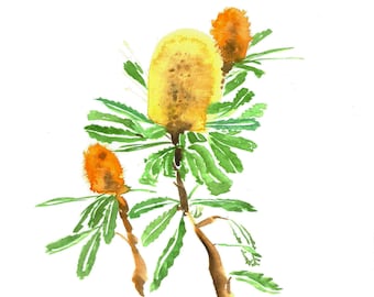 Banksia Bunch Painting / Obra de arte original, Flores de acuarela, Flora nativa australiana, Decoración de arte mural