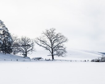 Landscape Photography- Fine Art Photography- Americana Art- Snow- Winter- 8x12 Print