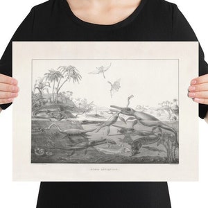 Paleoart Print of &quot;Duria Antiquior&quot; by Thomas De la Beche, 16in X 12in, Direct Copy of The Original