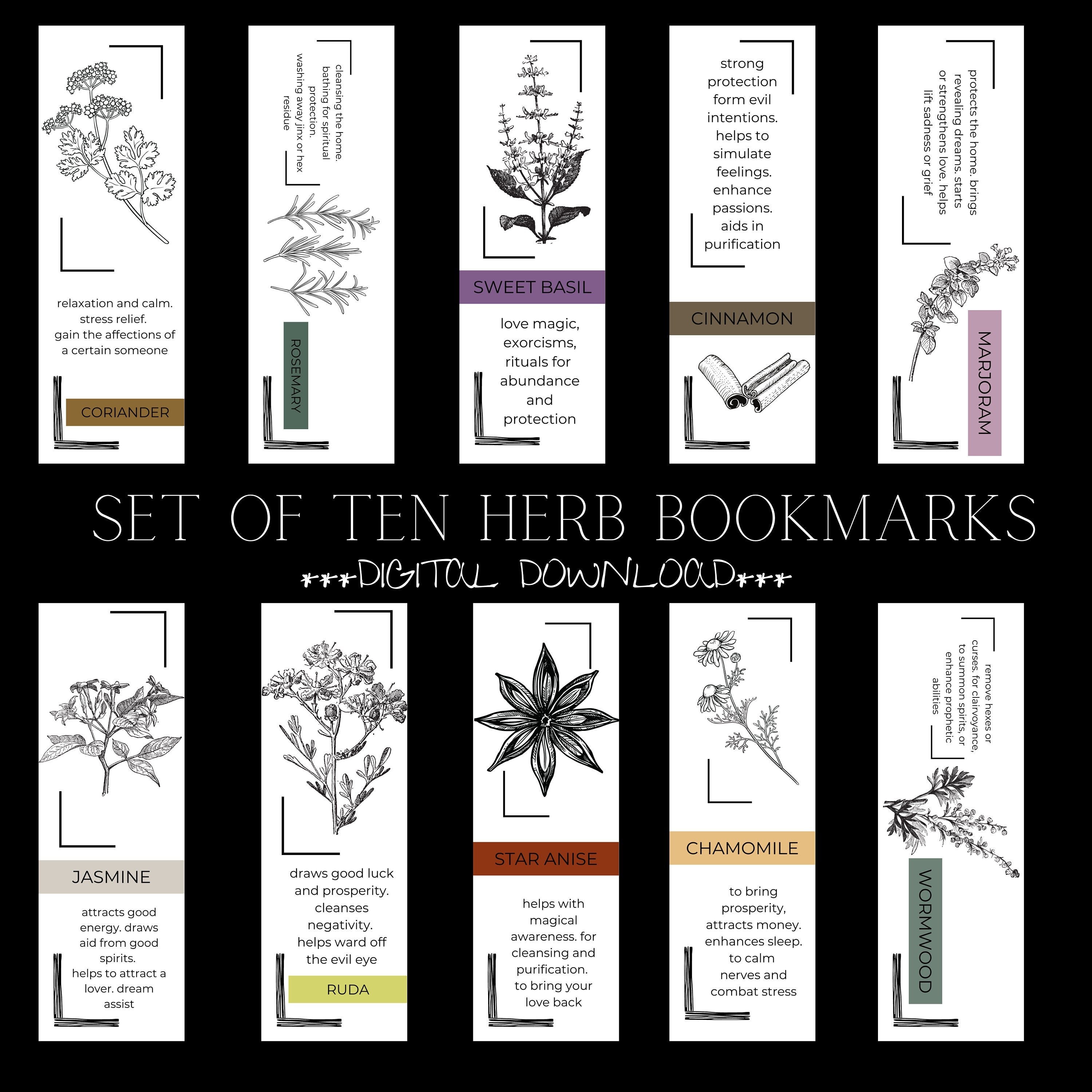 Set of 10 Herb Bookmarks Digital Download Printable | Etsy