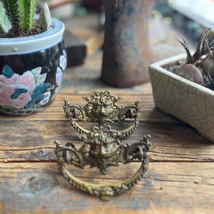 May include: Two antique brass drawer pulls with a detailed face design. The pulls are arched with a decorative face in the center and are set on a weathered wooden surface. A small potted cactus and other plants are in the background.