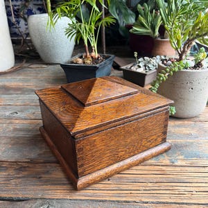 May include: A square, wooden box with a pyramid-shaped lid. The box is made of a warm, medium-toned wood and sits on a wooden surface. The box is surrounded by various potted plants, creating a natural, rustic aesthetic.