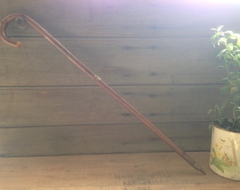 vintage wooden walking cane / bern bärengraben souvenir / carved cane