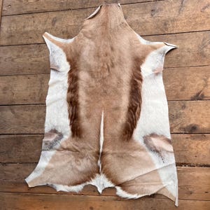 Peut inclure: Peau d'animal tannée avec un motif naturel. La peau présente une section centrale marron flanquée de zones blanches et beiges. La peau est posée sur une surface en bois.