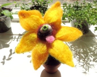 Parched Plant: Sunflower