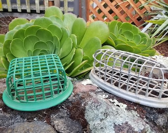 Grenouille fleurie vintage : arrangement floral de jardin rustique