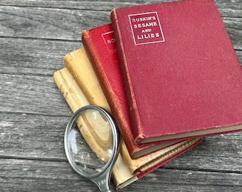 Livres anciens Roman romance poésie années 1890 années 1900 4 pochettes littérature dame du lac rêveries d'un célibataire sésame et lys Ivanhoé