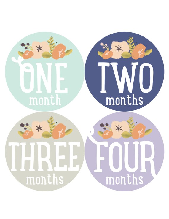 Items similar to Printable INSTANT DOWNLOAD monthly baby stickers Girl ...
