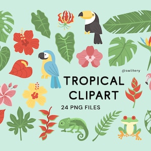 Tropische Natur Clipart Set PNG, Dschungel Illustration | Digitaler Sofort-Download