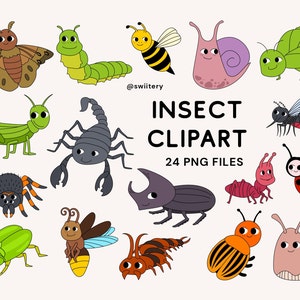 Bug And Insect Clipart Set PNG, Animal Illustration | Digital Instant Download