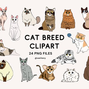 以下が含まれることがあります： 24種類の異なる猫の品種を、それぞれ漫画スタイルで描いたデジタルクリップアートセット。猫は様々なポーズと色で描かれており、茶色、白、黒、オレンジ、灰色などがあります。画像には「Cat Breed Clipart」と「24 PNG Files」のテキストが含まれています。