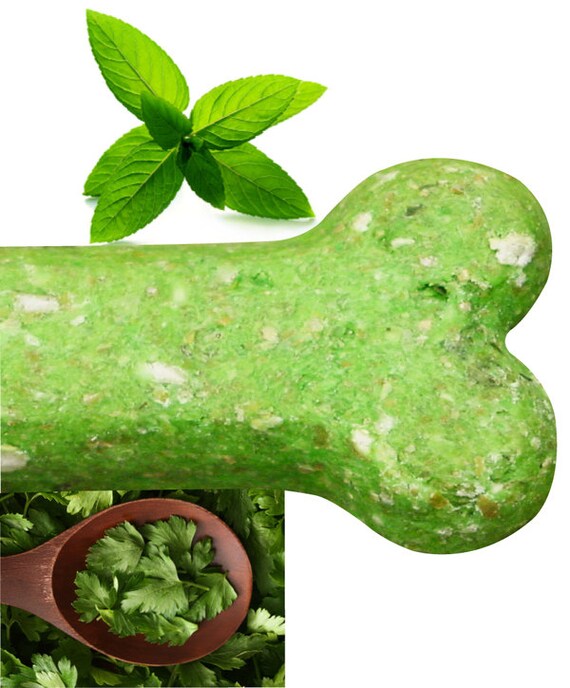 mint and parsley dog treats recipe