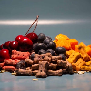 Mini Gourmet Dog Treats