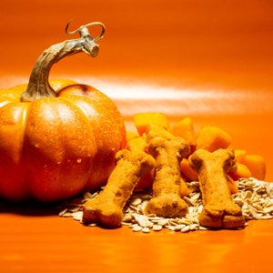 May include: A small orange pumpkin sits next to a pile of orange dog biscuits and oats.