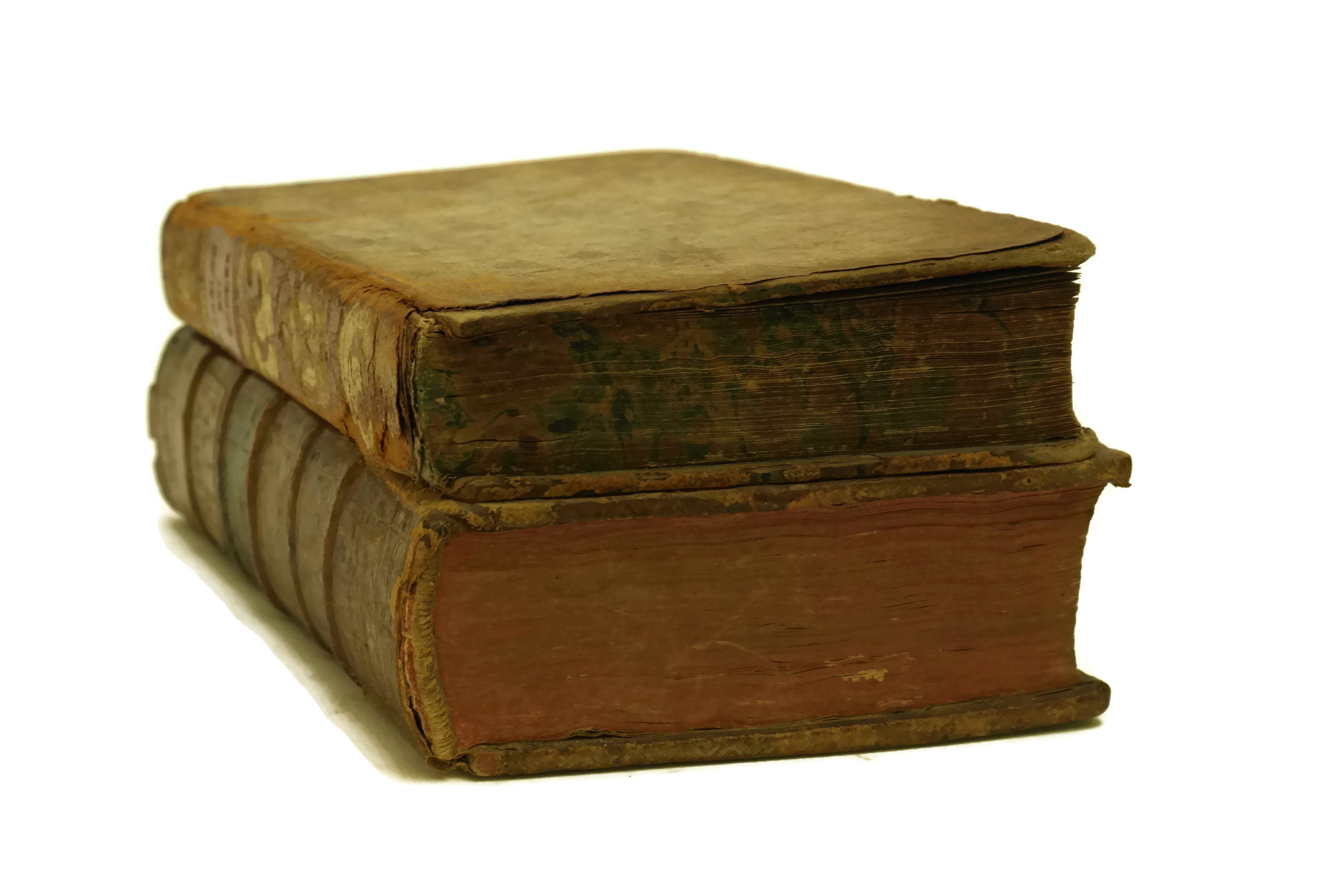 French Antique Book Box. Secret Safe Storage & Stash Box. Leather Book