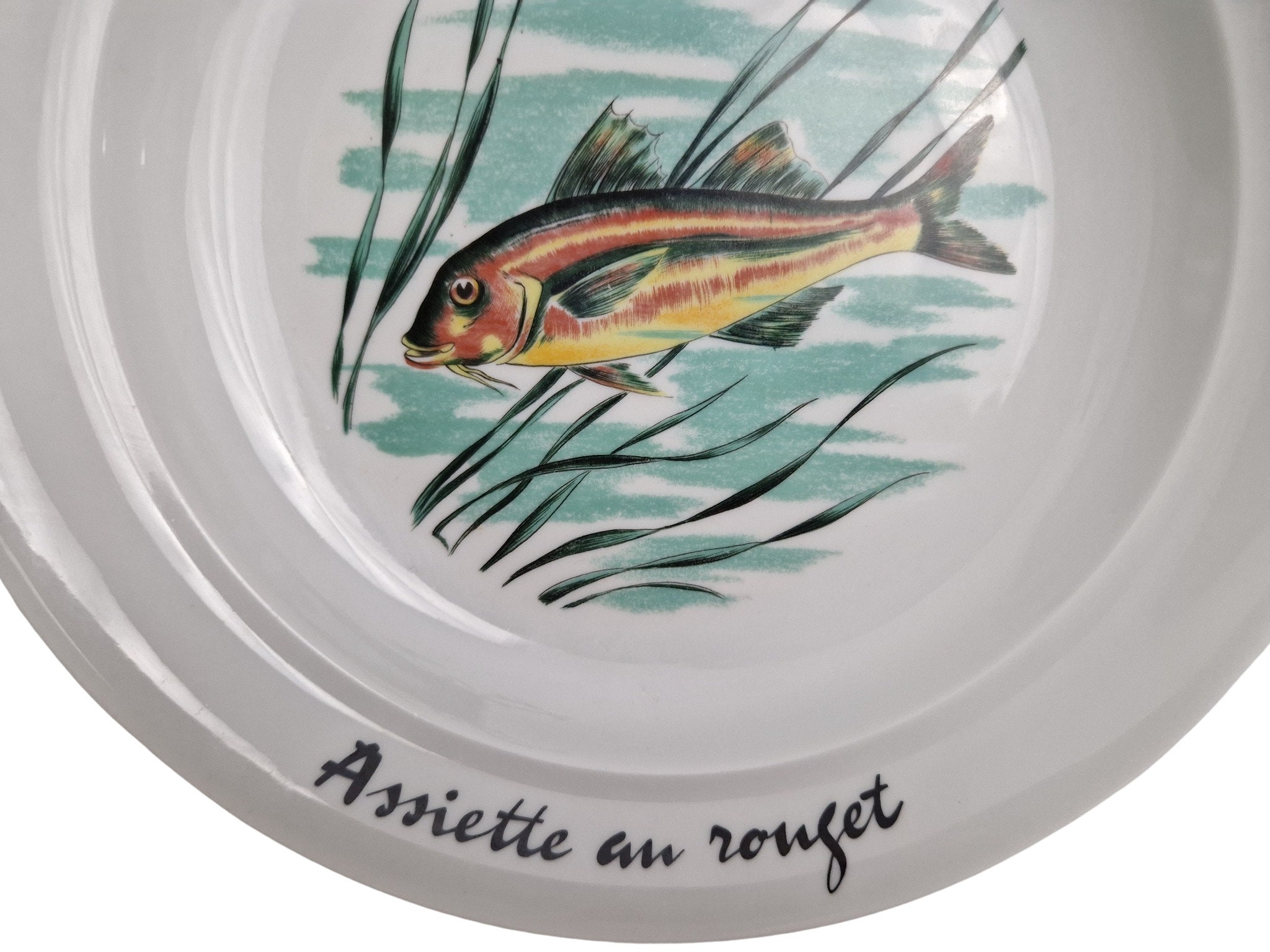 French Porcelain Fish Plates by PILLIVUYT, Set of 4, Bouillabaisse