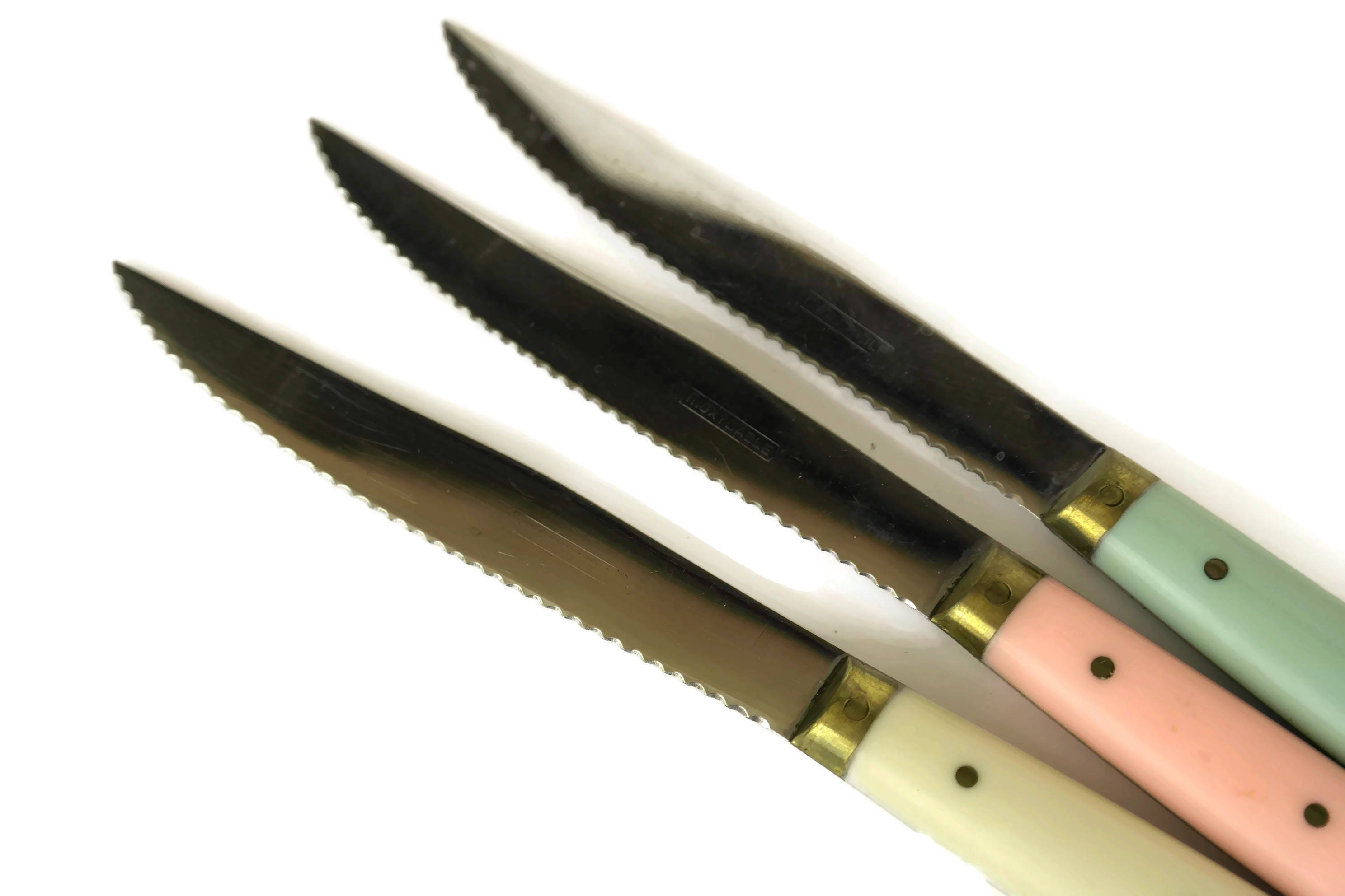 French Vintage Steak Knives with Rainbow Colored Handles.