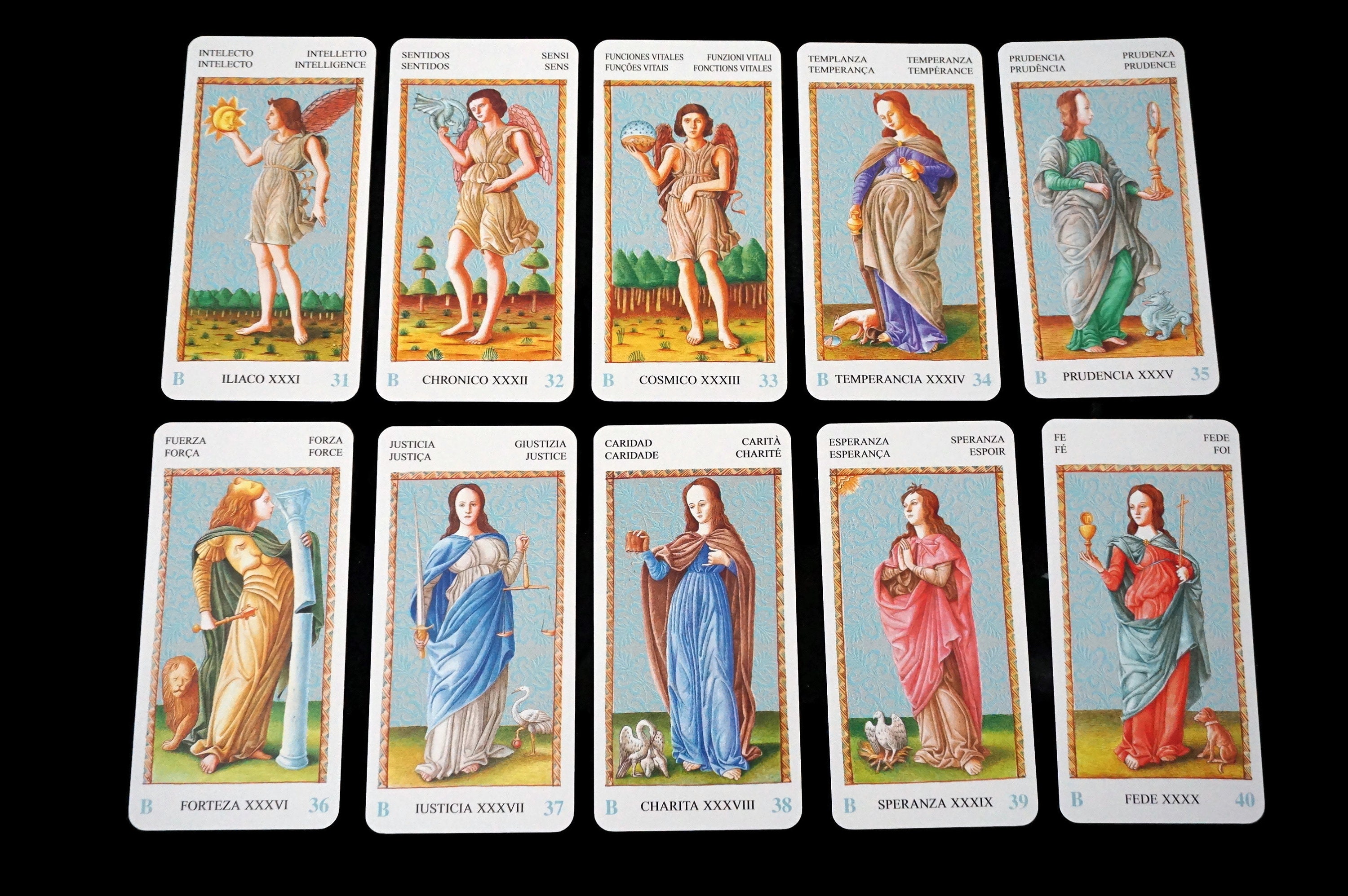 tarot card ความ หมาย reading