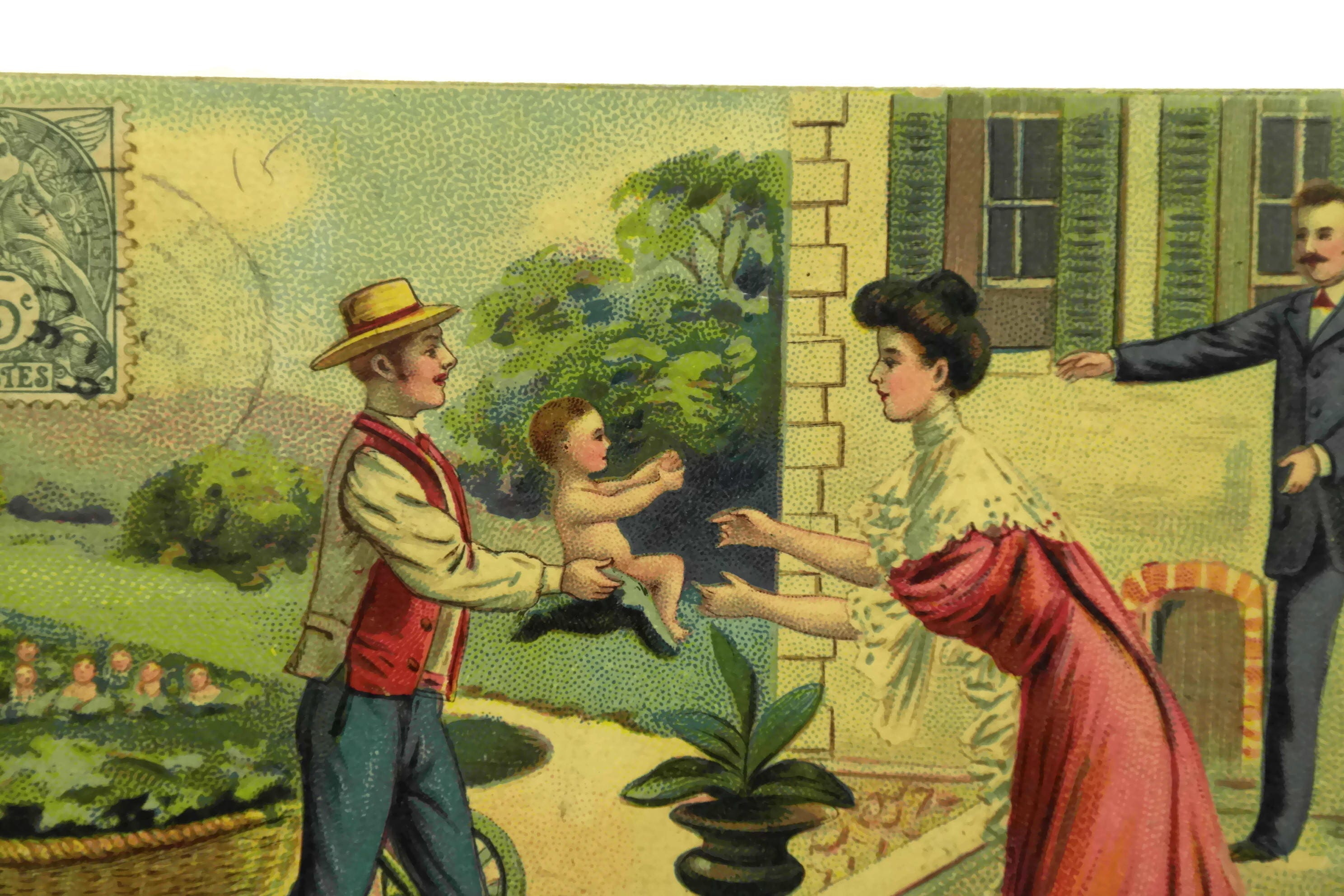 Cabbage Patch Baby Antique Illustrated French Postcard. Newborn