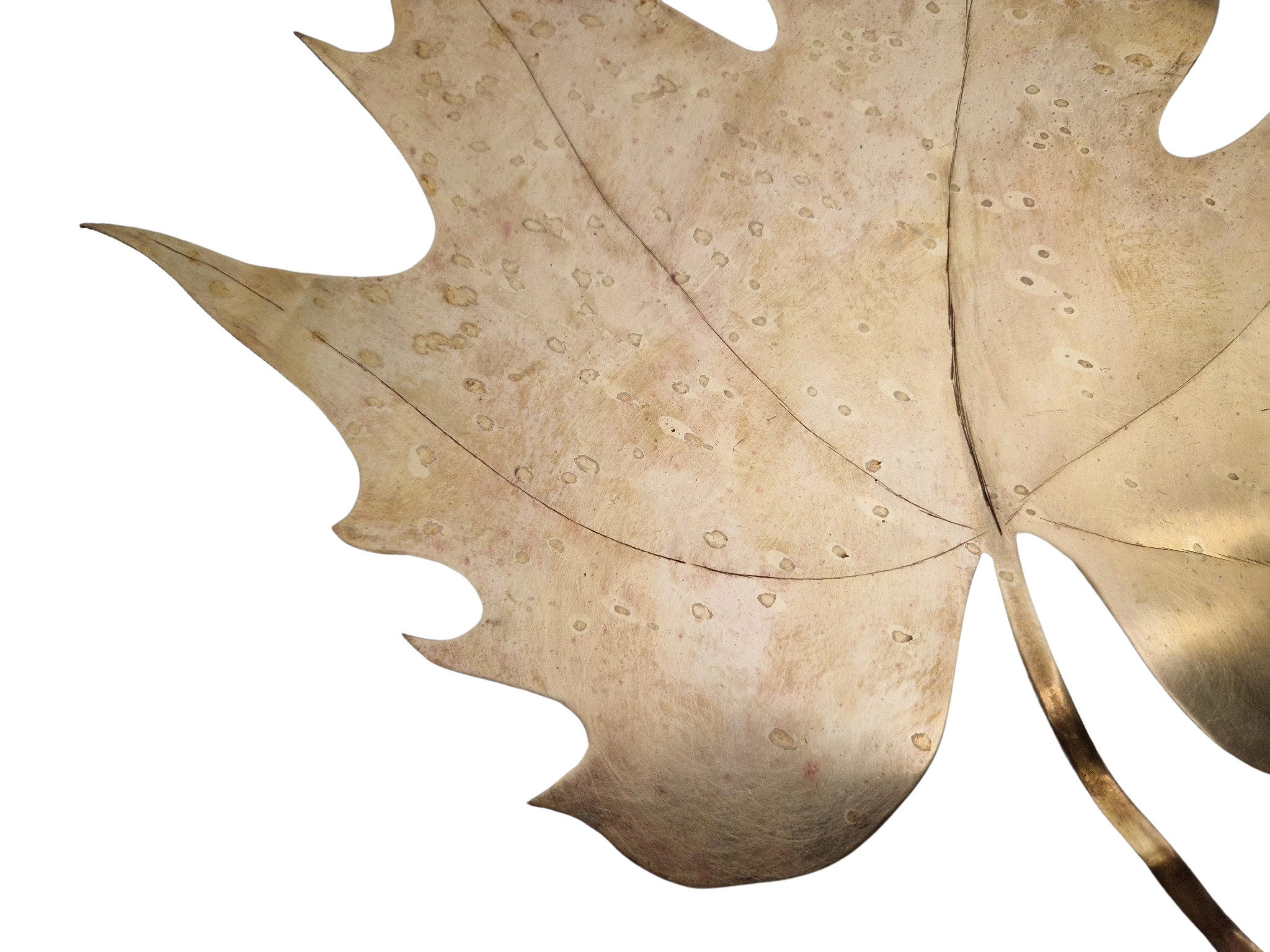 Vintage Brass Maple Leaf Sculpture, 1970s French Botanical Art, Fall