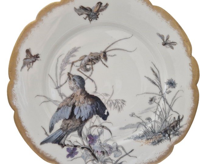 Limoges Porcelain Plate with Hand Painted Bird and Insects by Adolphe Hache & Cie, Antique French Cabinet Collectible Wall Plate