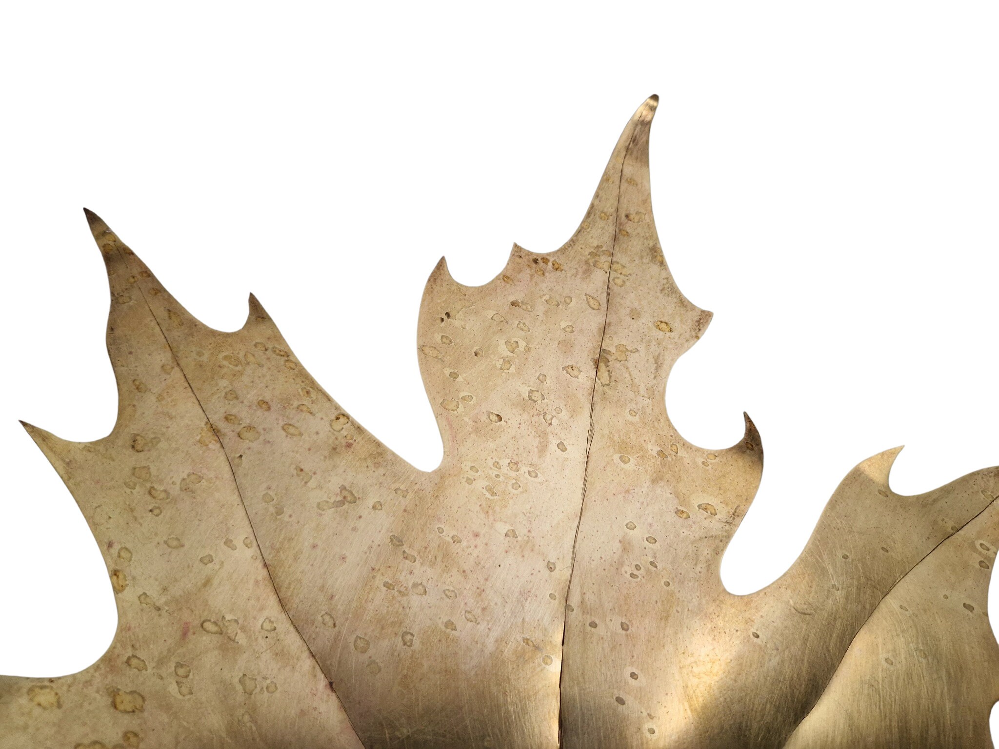 Vintage Brass Maple Leaf Sculpture, 1970s French Botanical Art, Fall