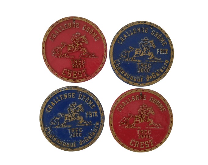 French TREC Horse Show Trophy Medal Set of 4, Wall Hanging Award Plaques, Equestrian Prize